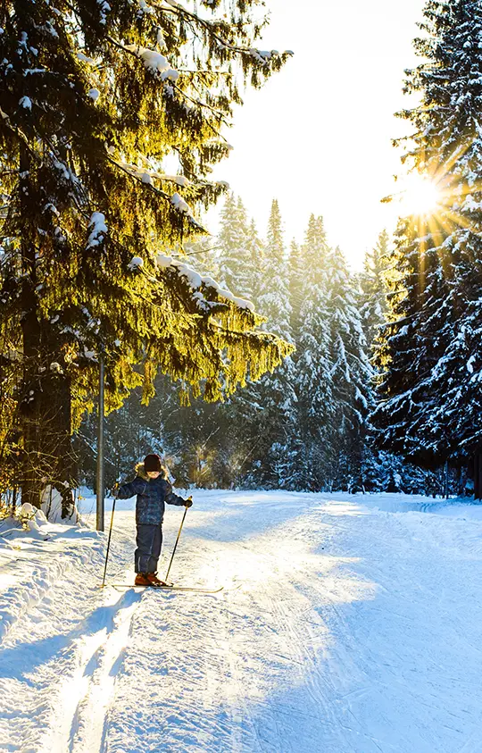 camping_wertacher_hof_startseite_Loipe_Winter